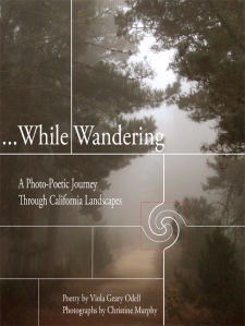 While wandering-A Photo-Poetic Journey Through California Landscapes